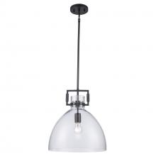 Trans Globe PND-2228 BK - 1LT PENDANT-MED-CLEAR GLASS-BK